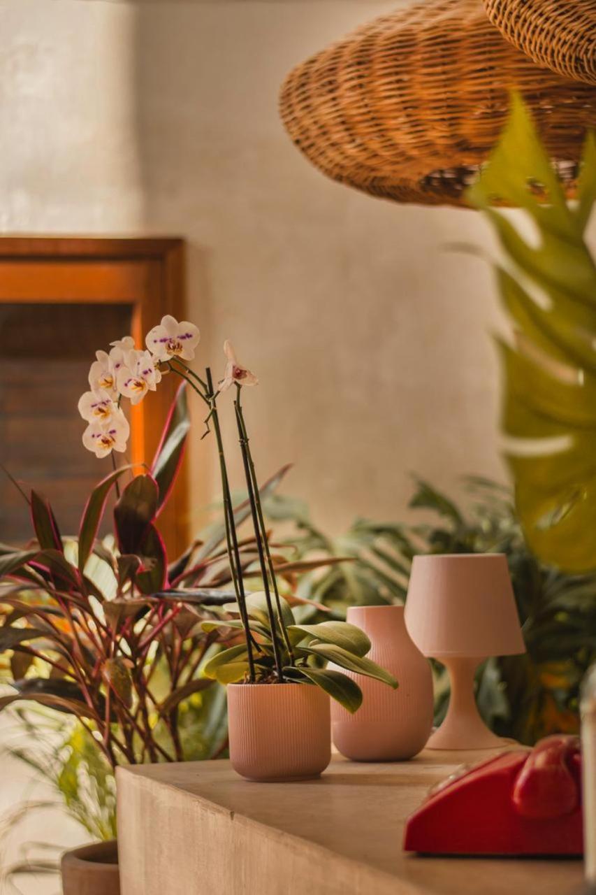 Alcobas Del Mar Hotell Holbox  Eksteriør bilde